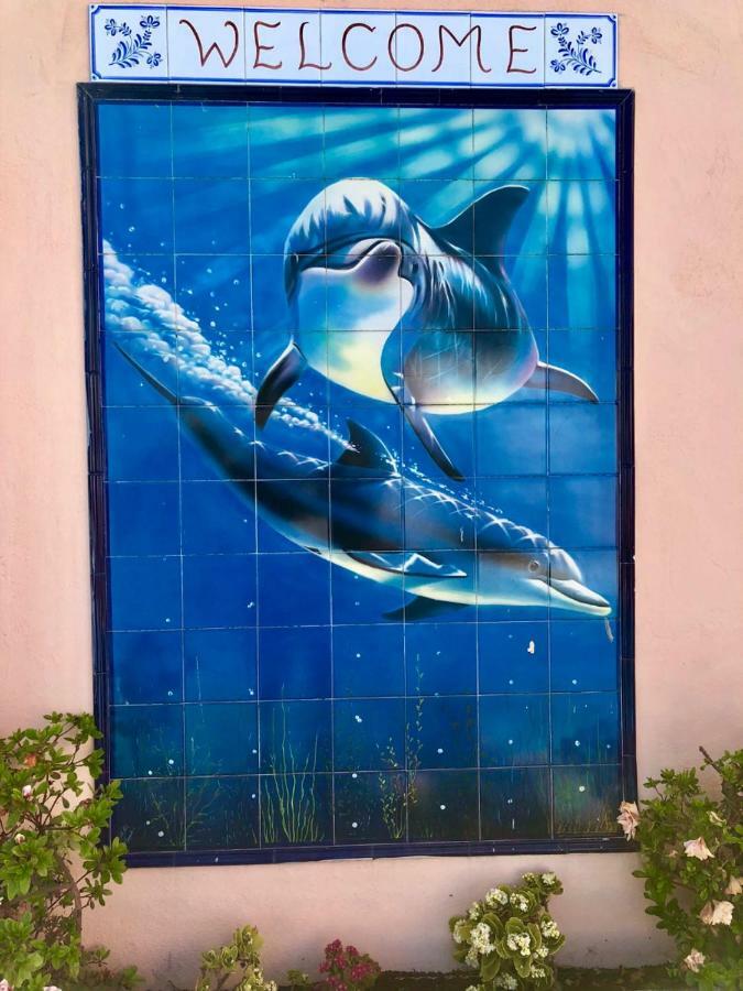 فيلا Casa Golfinho فيانا دو كاستيلو المظهر الخارجي الصورة